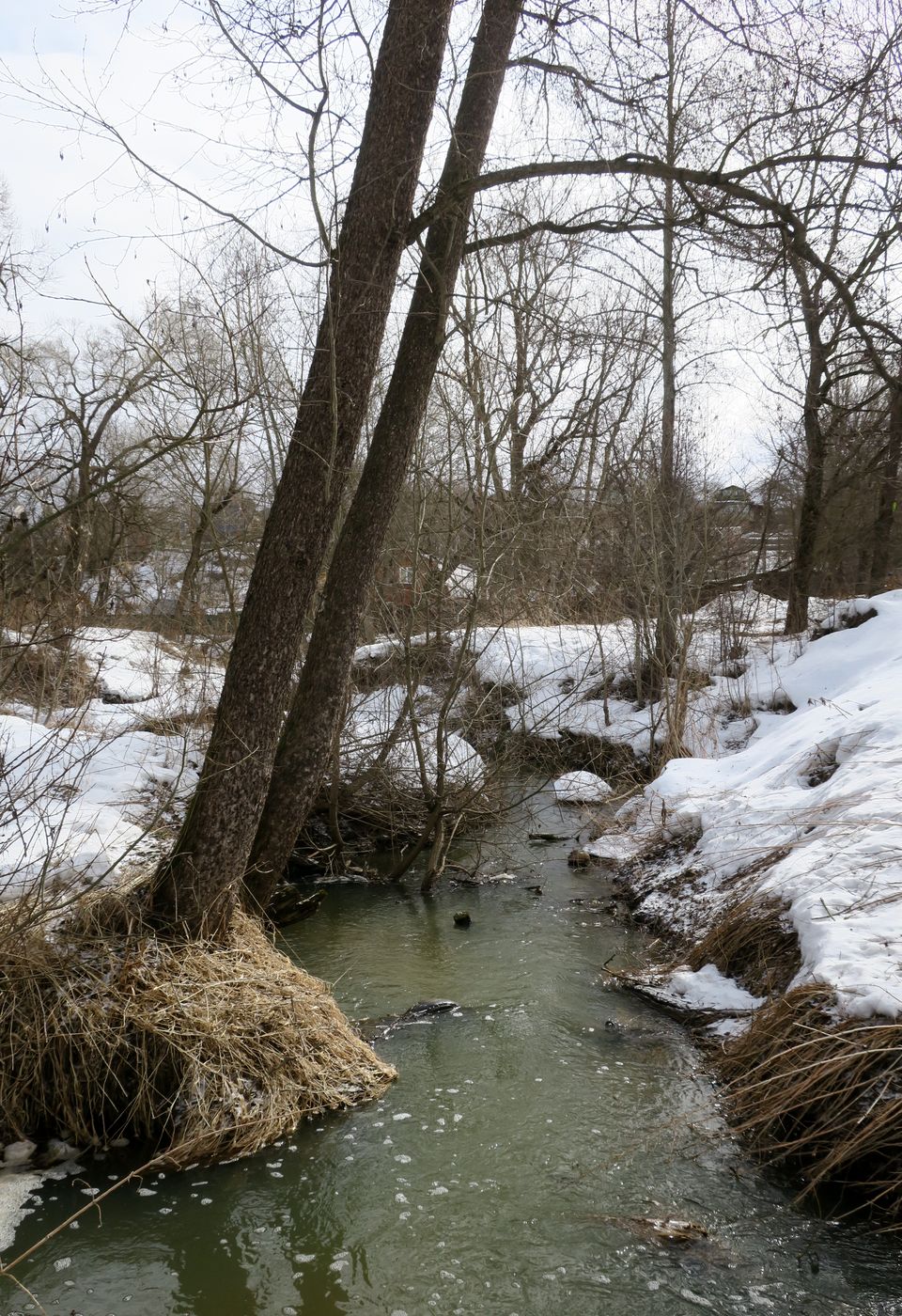 Малоярославец и окрестности, image of landscape/habitat.