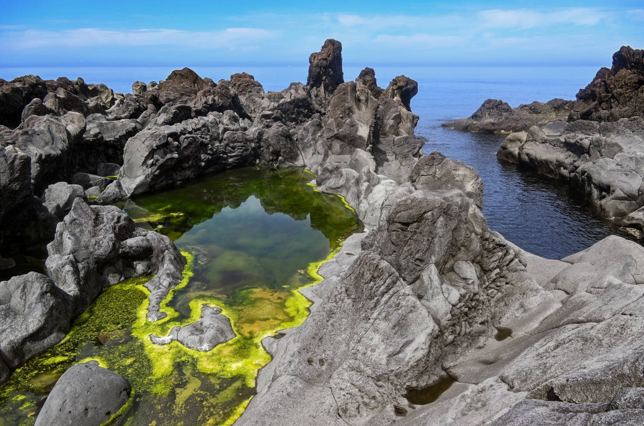 Окрестности мыса Одесский, image of landscape/habitat.