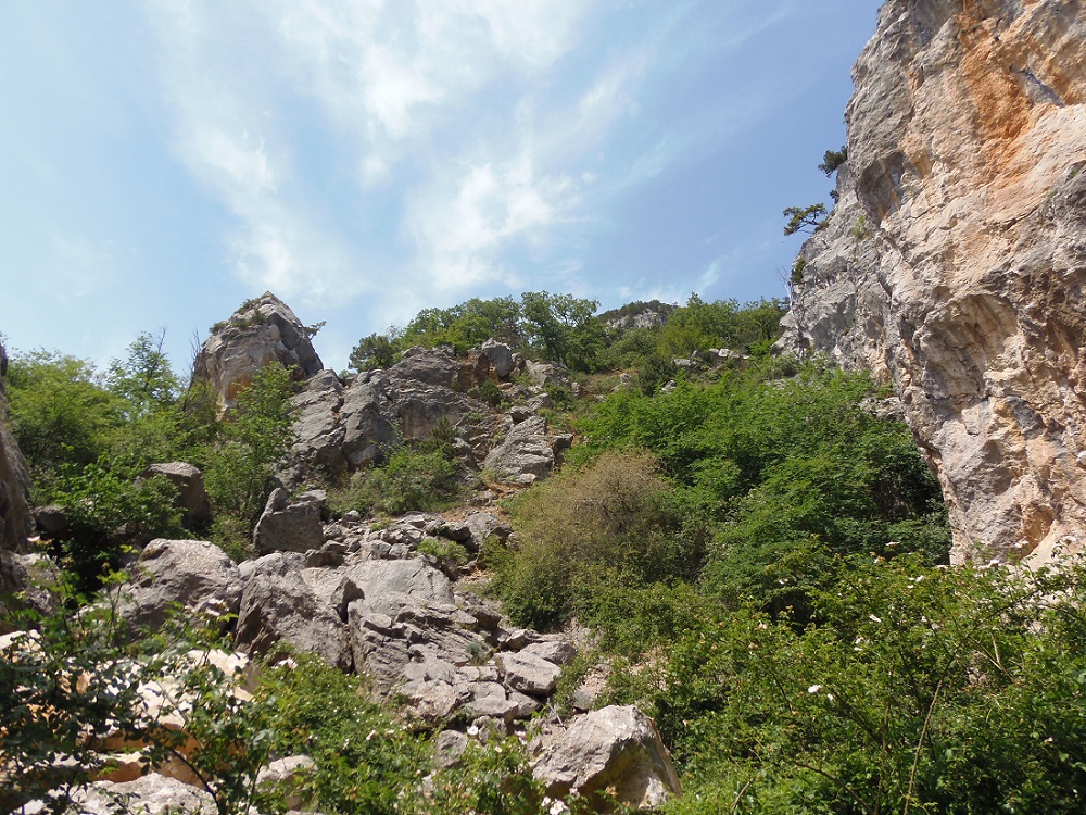 Никитская расселина, image of landscape/habitat.