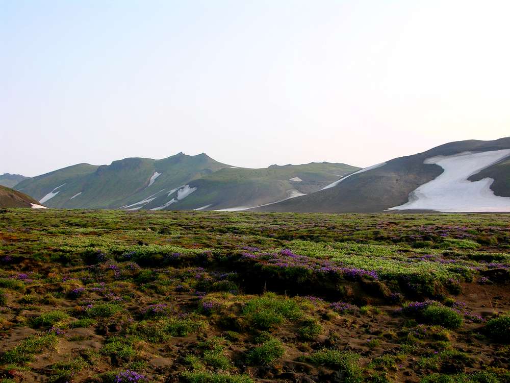 Горелинский дол, image of landscape/habitat.