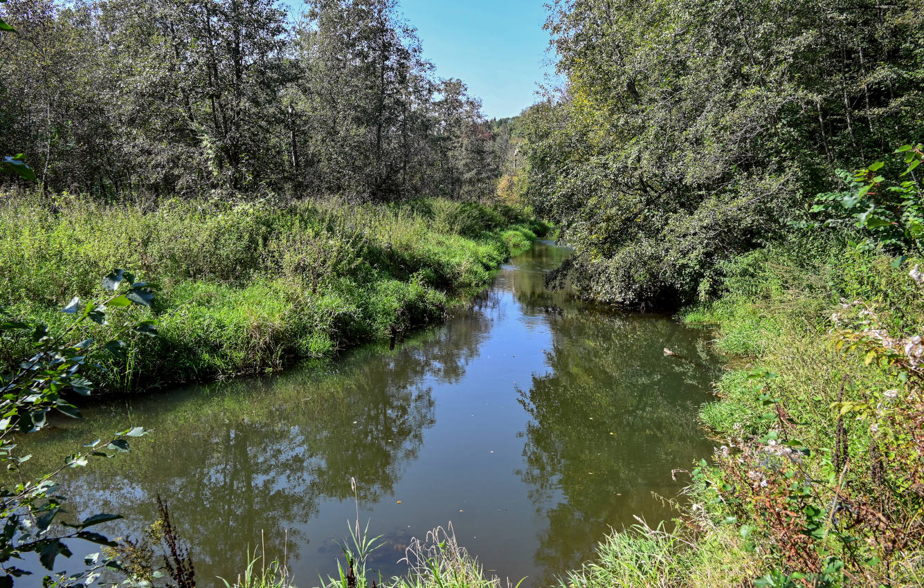 Долина реки Волгуша, image of landscape/habitat.