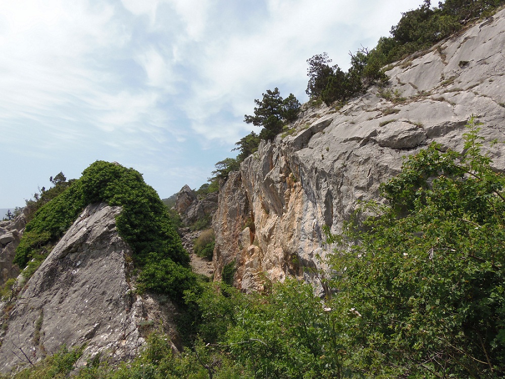 Никитская расселина, image of landscape/habitat.