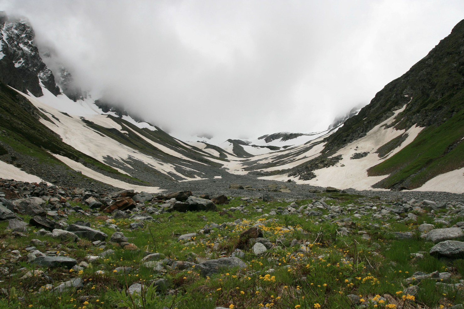 Архыз. Долина реки Псыш, image of landscape/habitat.