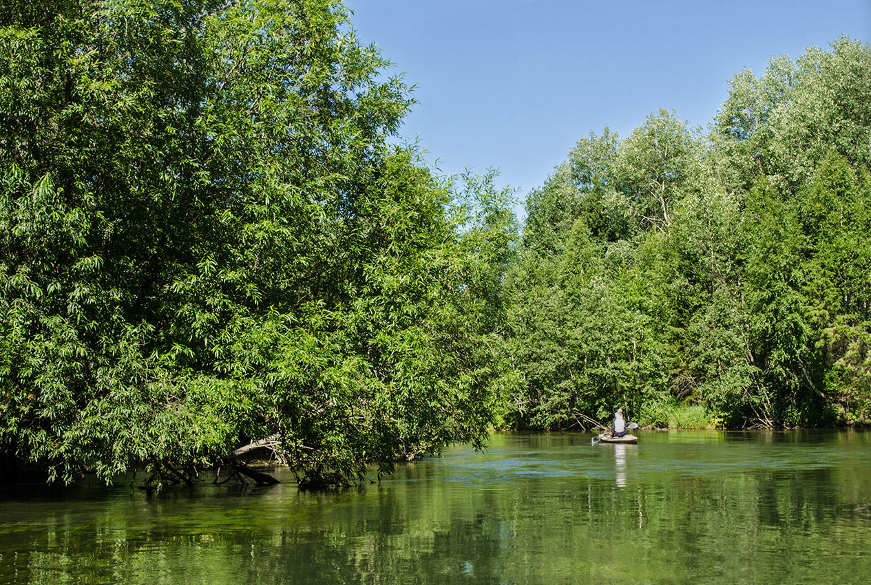 Окрестности деревни Шкарята, image of landscape/habitat.