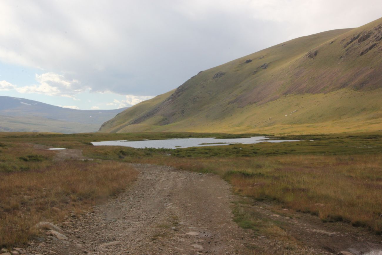 Окрестности истока реки Усай, image of landscape/habitat.