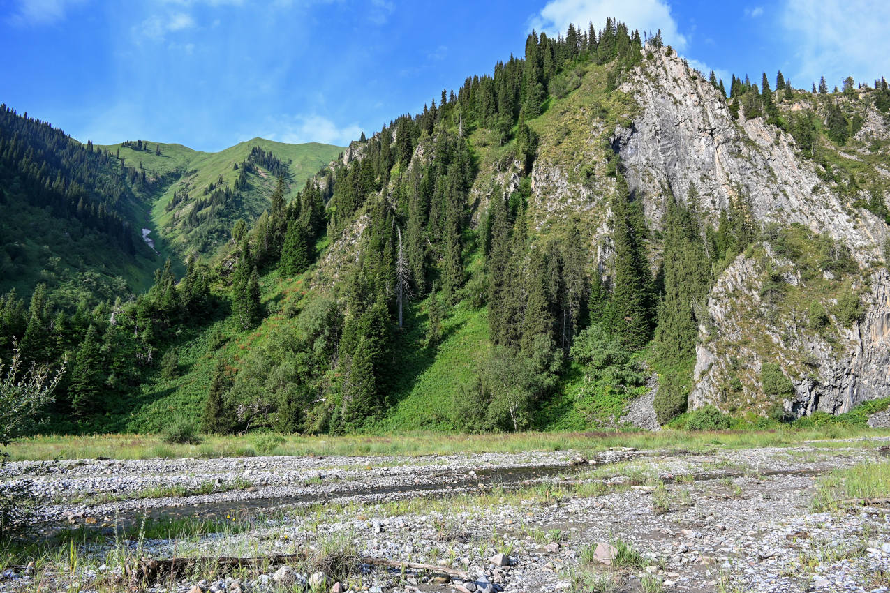 Озеро Сары-Челек, image of landscape/habitat.