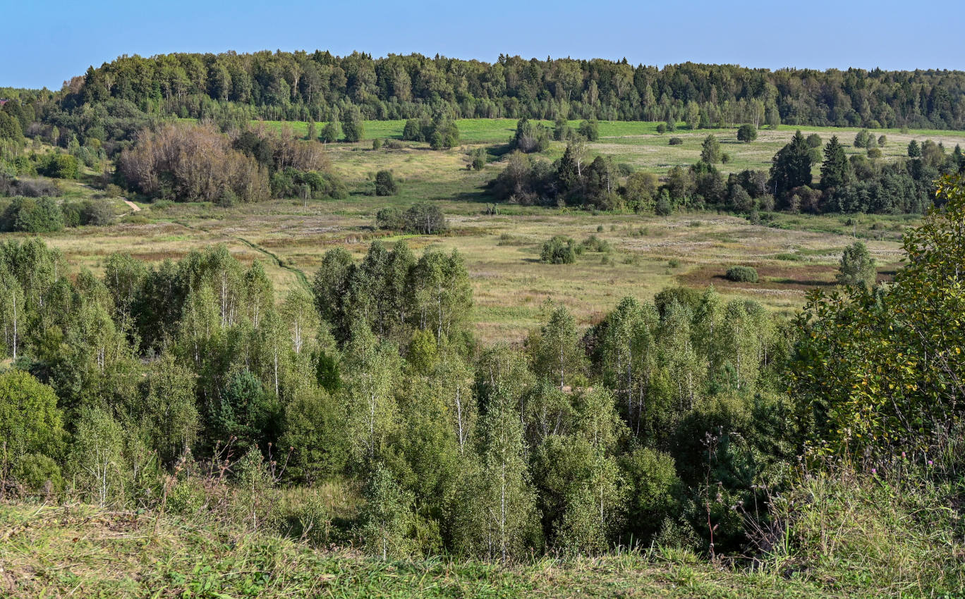 Долина реки Волгуша, изображение ландшафта.