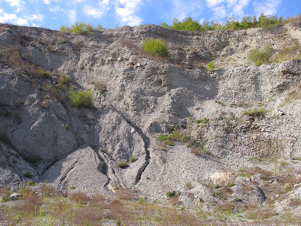 Окрестности Нижнебаканской, image of landscape/habitat.