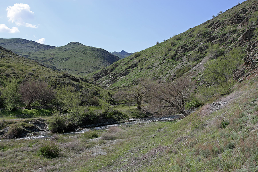 Ущелье Еликсай, image of landscape/habitat.