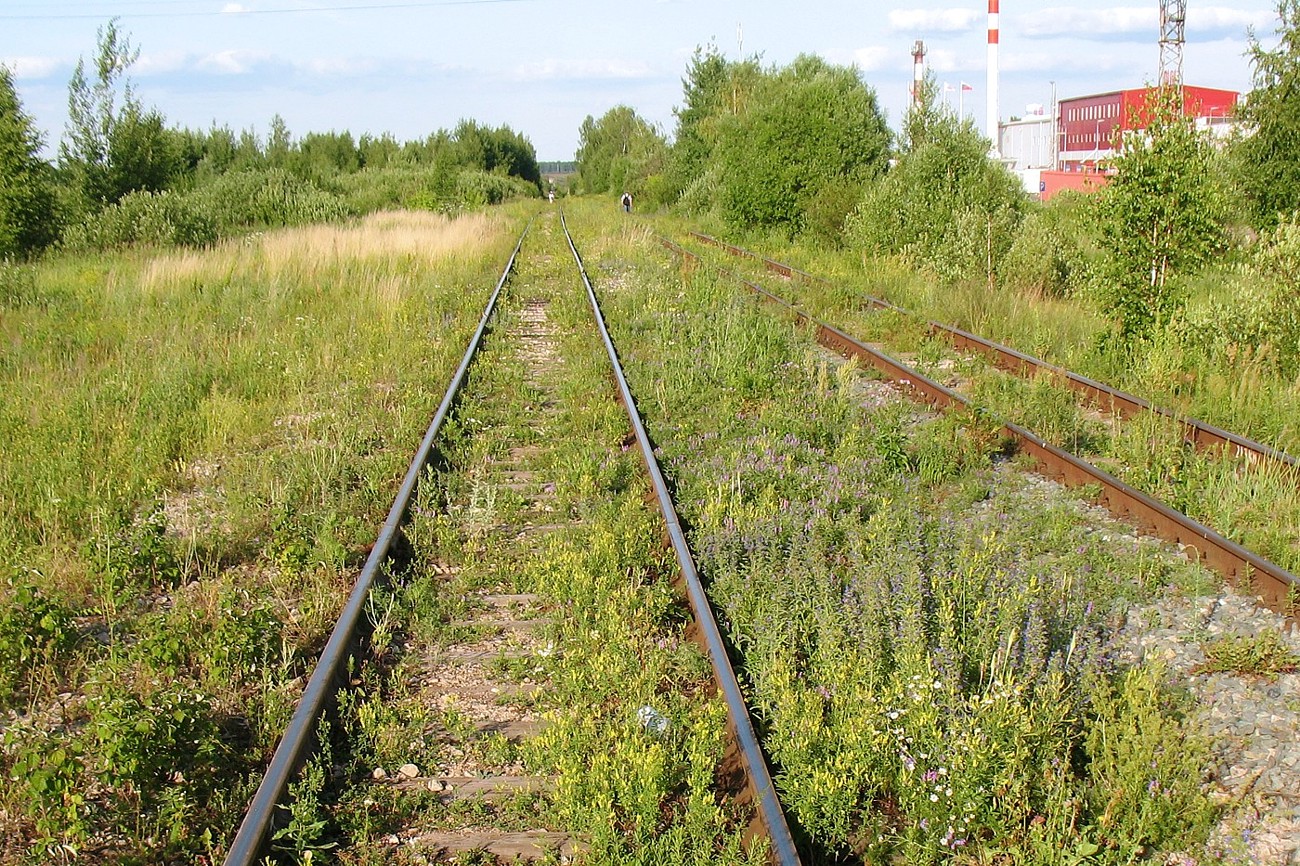 Серпухов-Ветка, image of landscape/habitat.