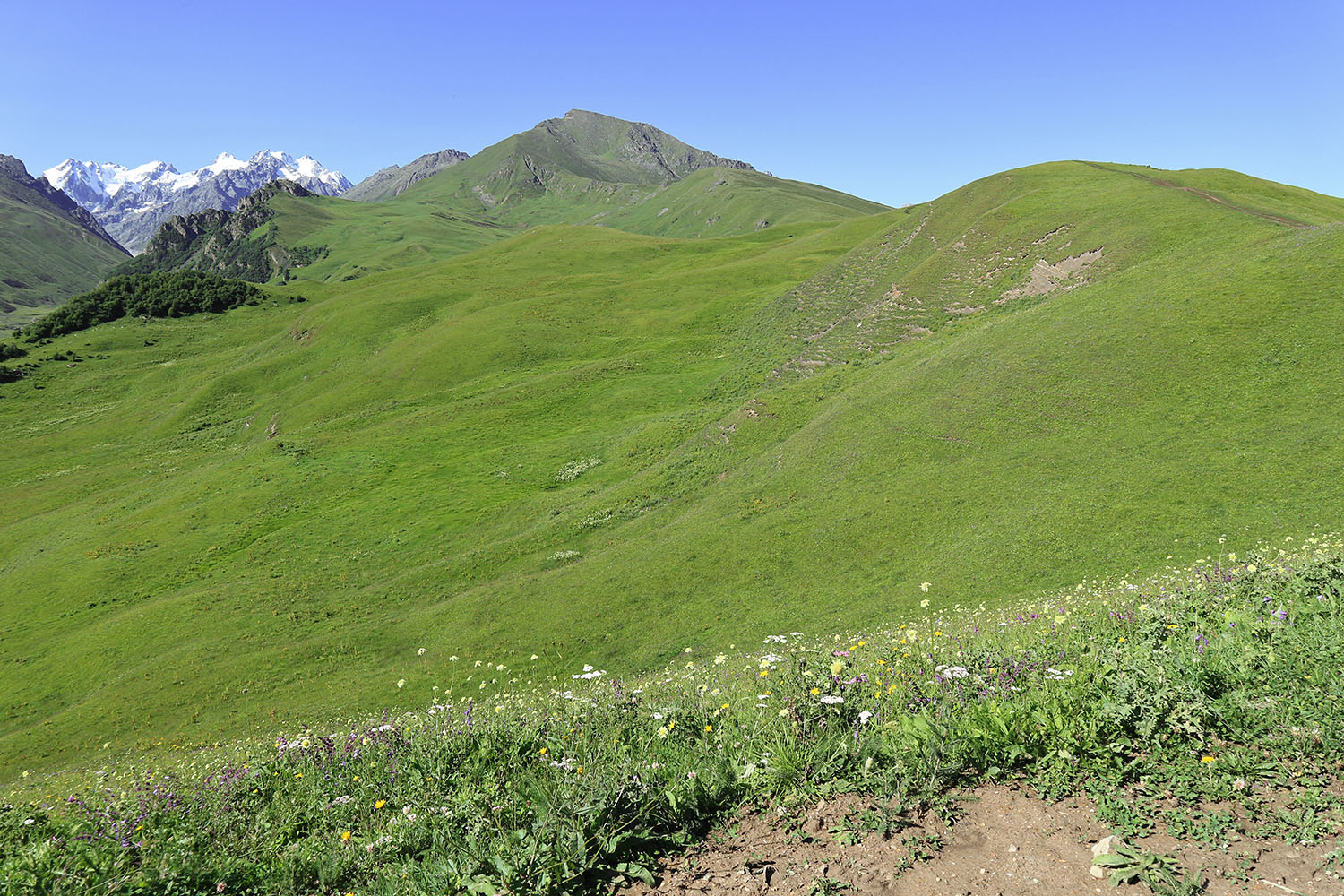 Перевал Северный Курноят, image of landscape/habitat.