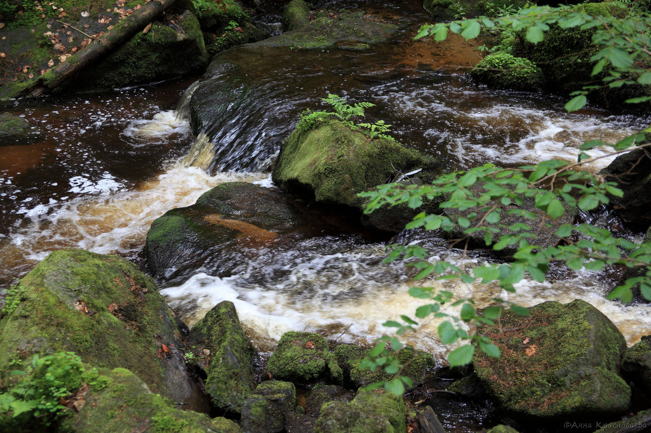 Vyšší Brod a Opatská stezka, image of landscape/habitat.