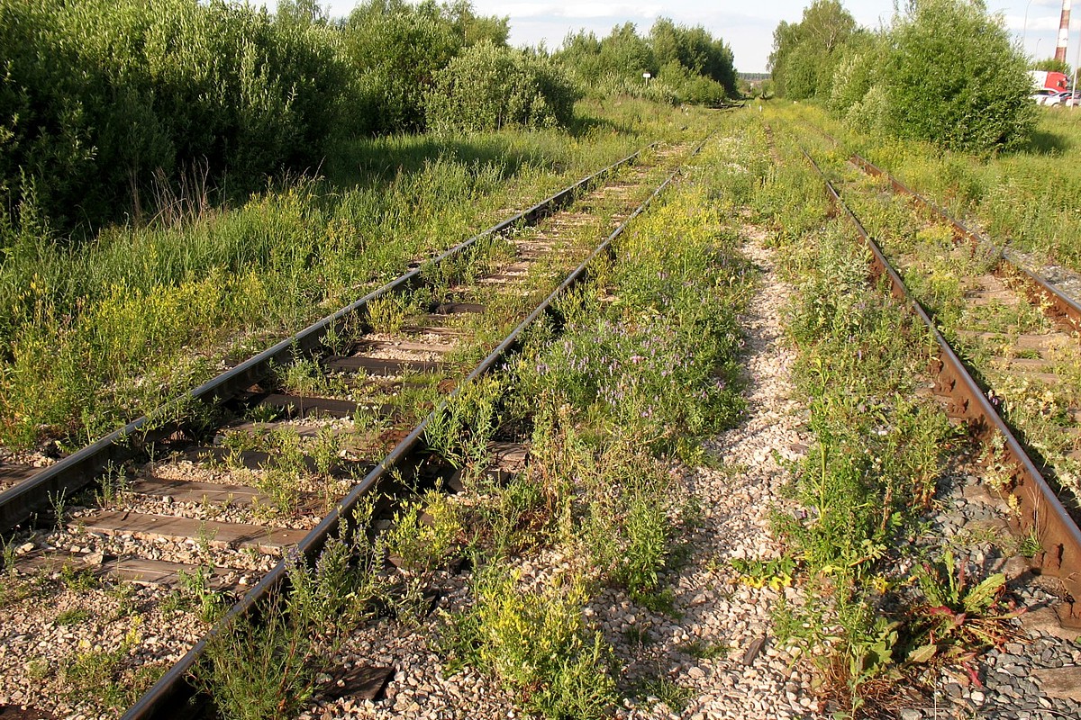 Серпухов-Ветка, image of landscape/habitat.