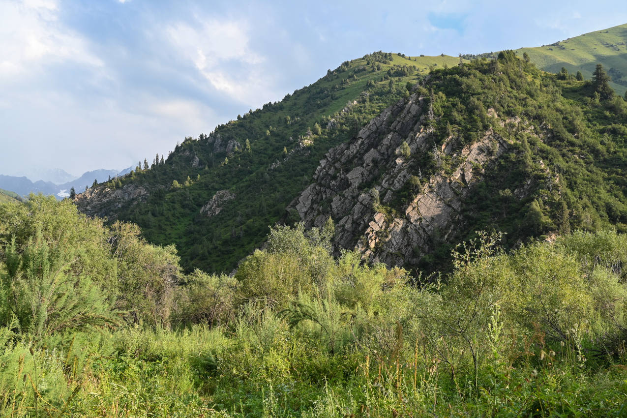 Озеро Сары-Челек, image of landscape/habitat.