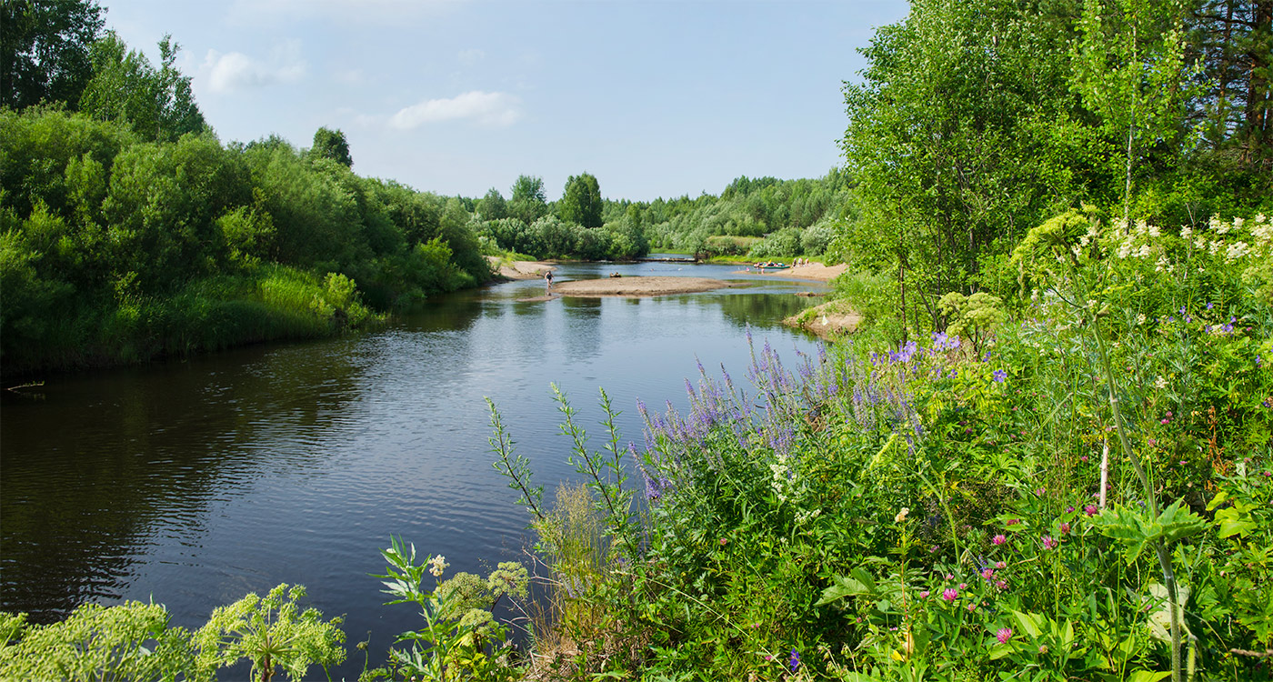 Усть-Янчер и окрестности, image of landscape/habitat.