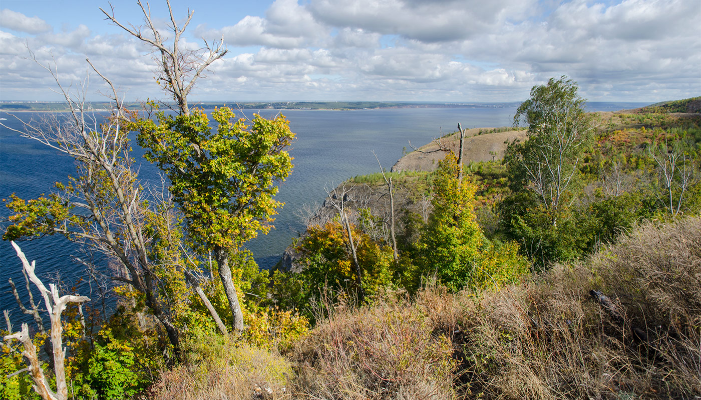 Молодецкий курган, image of landscape/habitat.