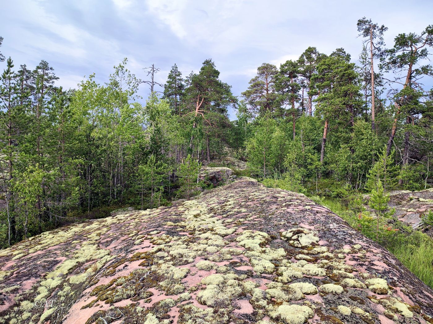 Остров Сюскюянсаари, image of landscape/habitat.