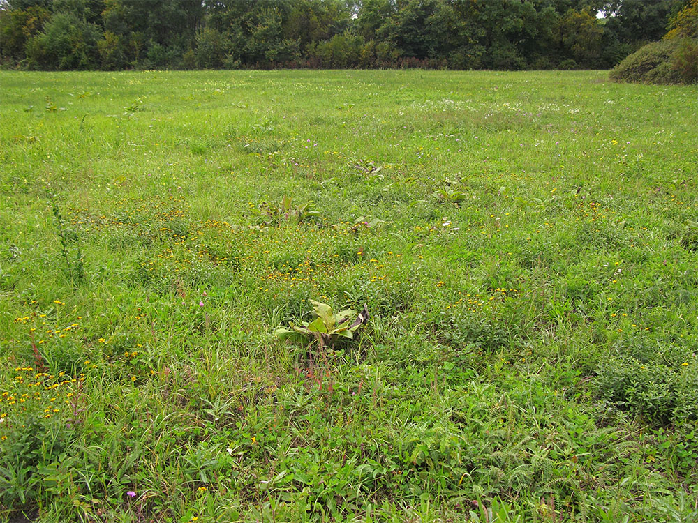 Окрестности Нижнебаканской, image of landscape/habitat.