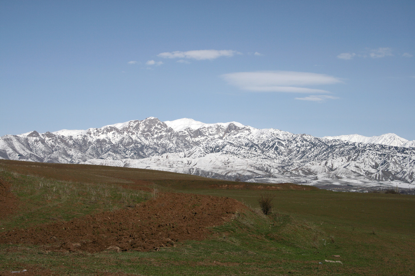 Предгорья Чаткальского хребта, image of landscape/habitat.