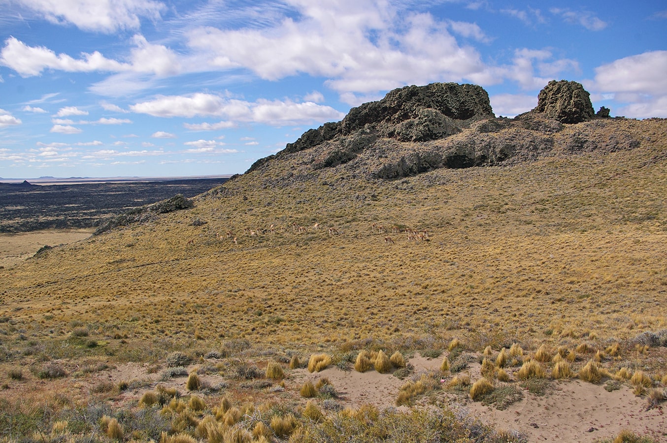 Пали-Айке, image of landscape/habitat.