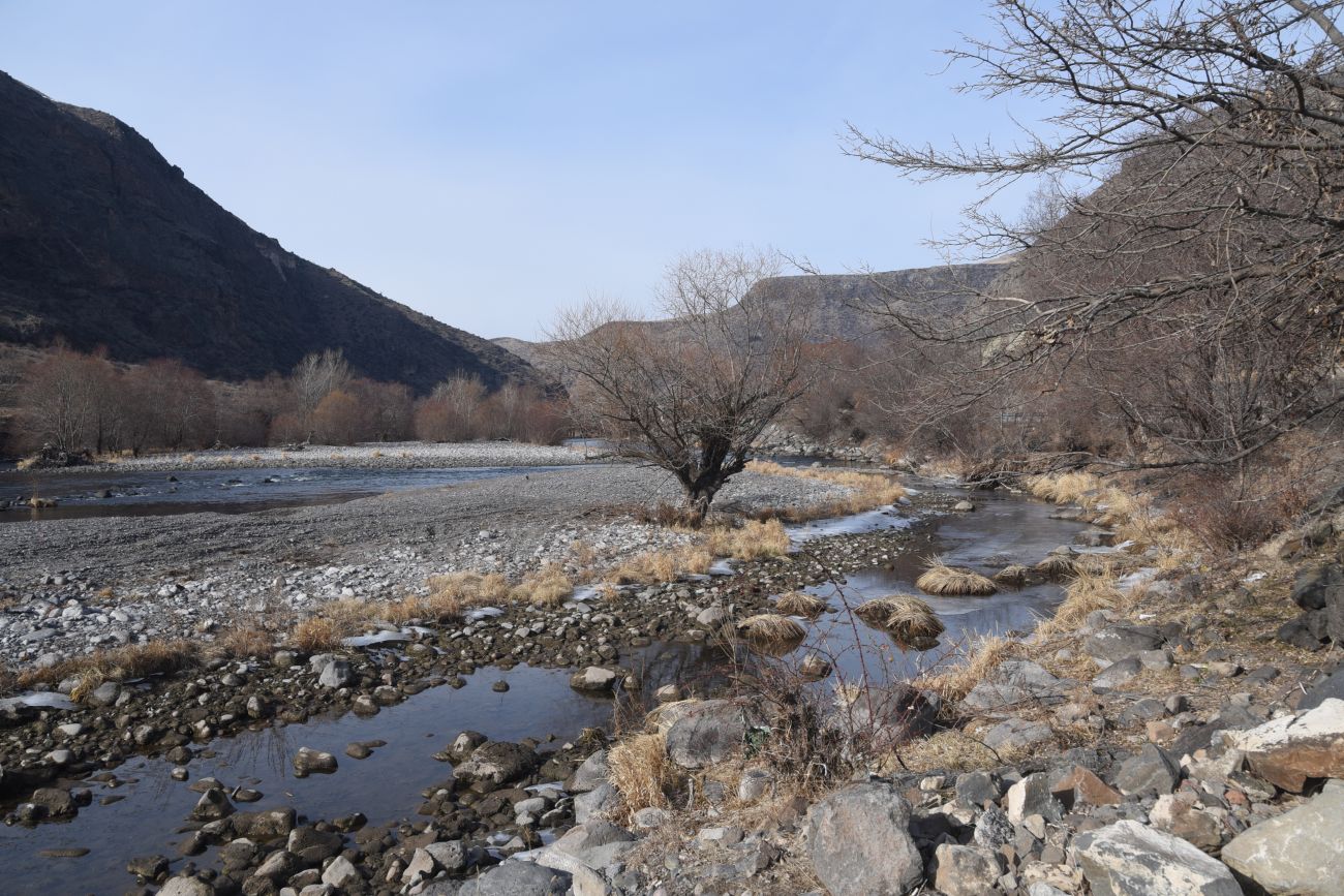 Джолда, image of landscape/habitat.