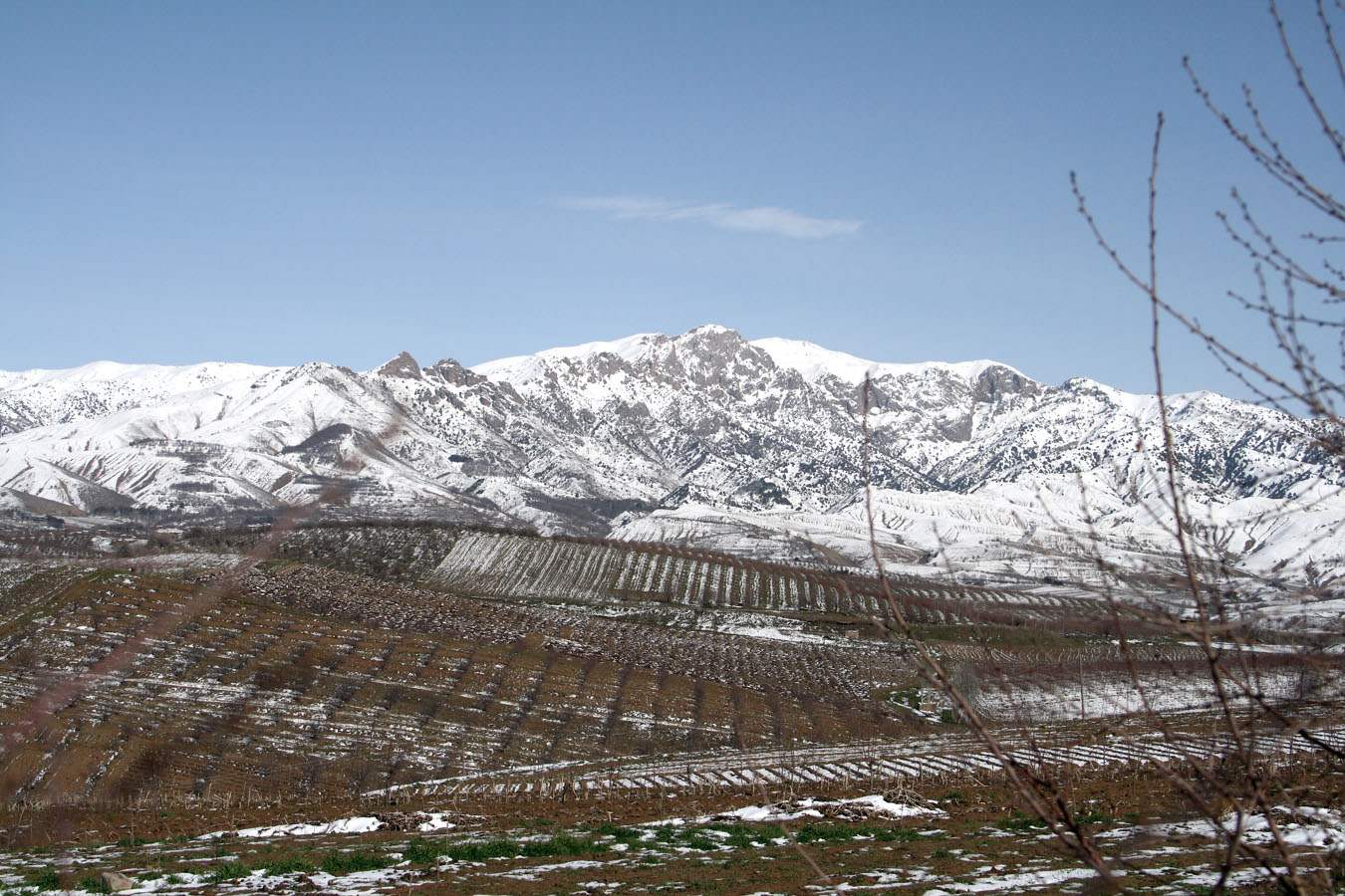 Предгорья Чаткальского хребта, image of landscape/habitat.