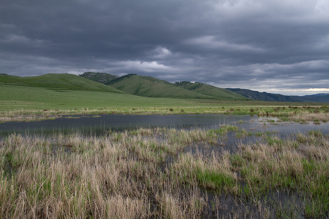 Тигирек, image of landscape/habitat.