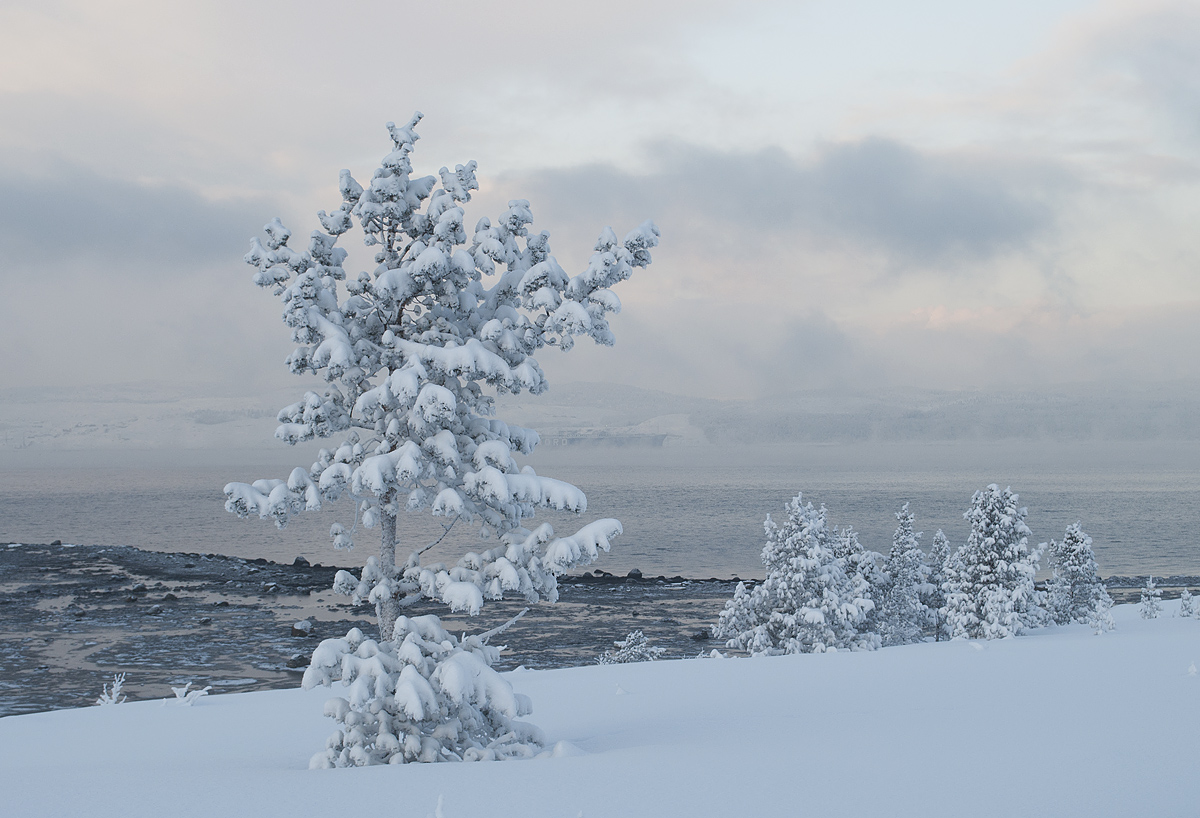 Губа Грязная, image of landscape/habitat.