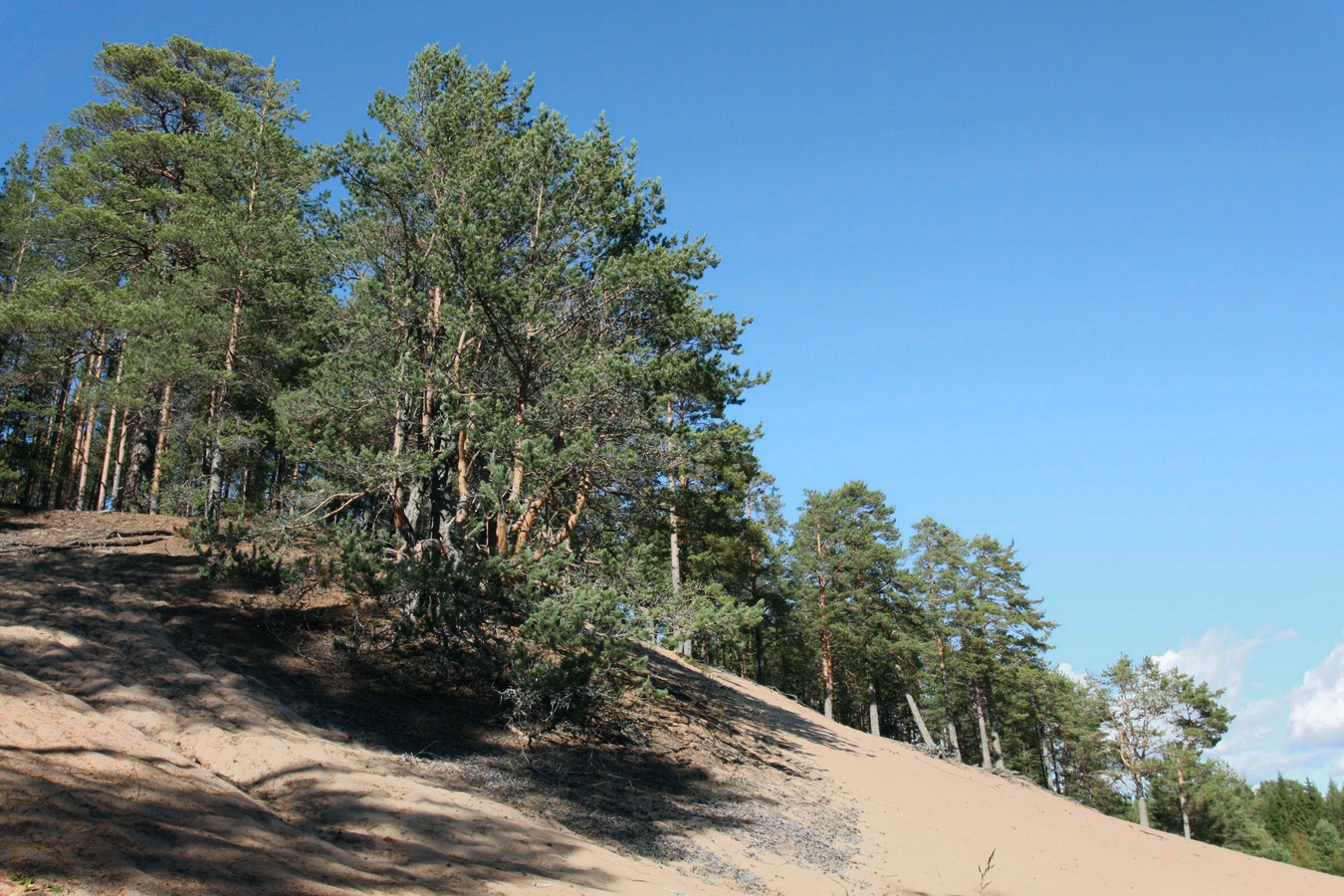 Устье Тулоксы, image of landscape/habitat.