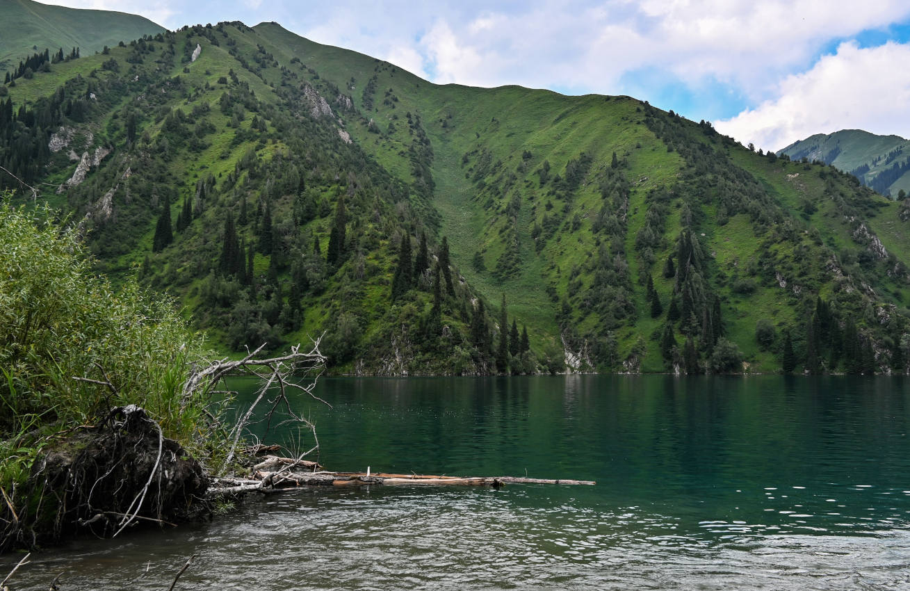 Озеро Сары-Челек, image of landscape/habitat.