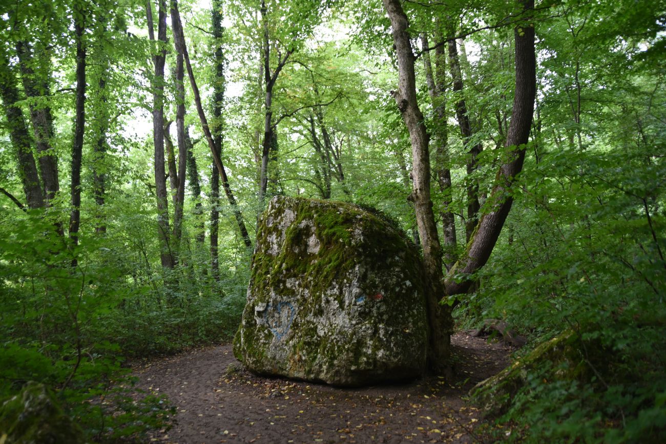 Долина Белой около Руфабго, image of landscape/habitat.