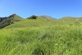 Эркедыген, image of landscape/habitat.