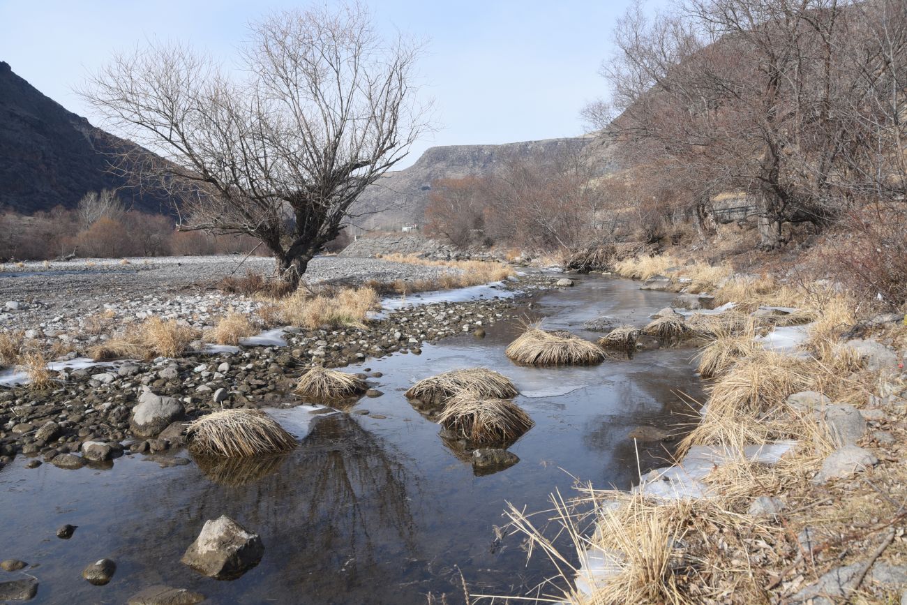 Джолда, image of landscape/habitat.