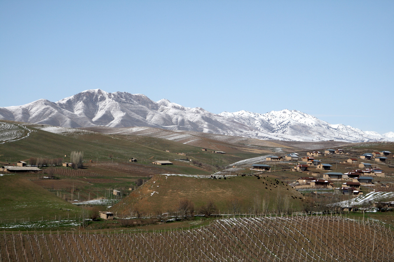 Предгорья Чаткальского хребта, image of landscape/habitat.