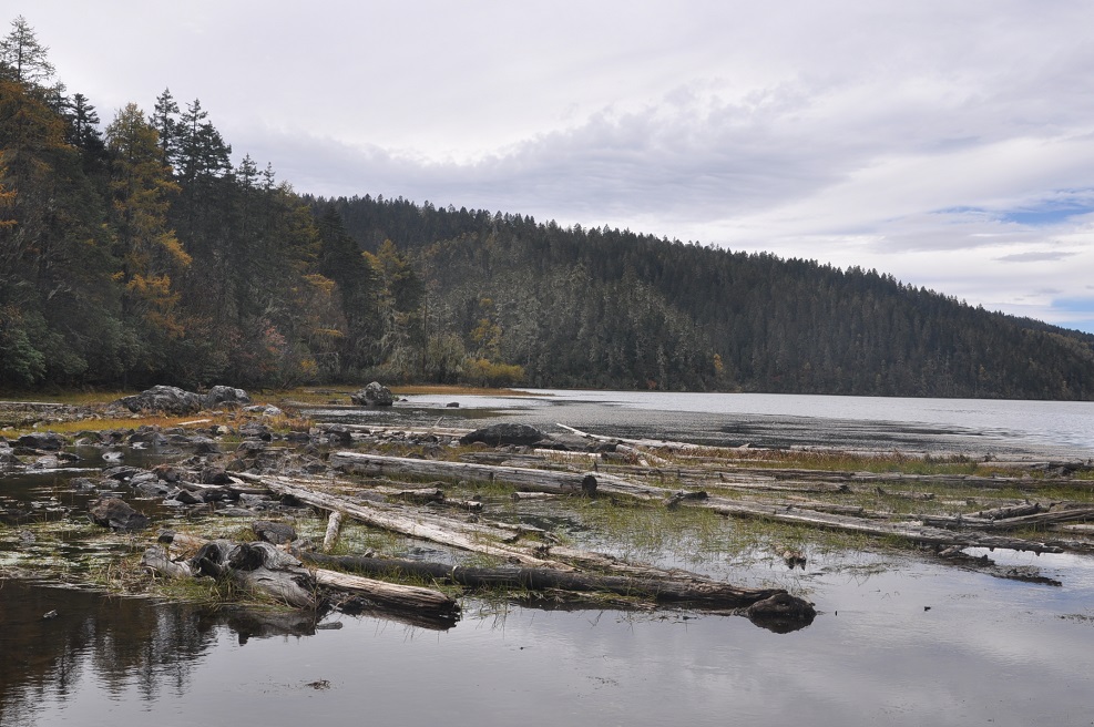 Озеро Бита Хай, image of landscape/habitat.