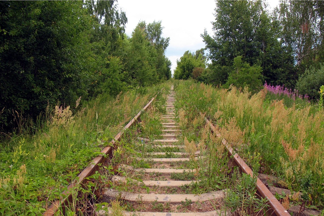 Серпухов-Ветка, image of landscape/habitat.