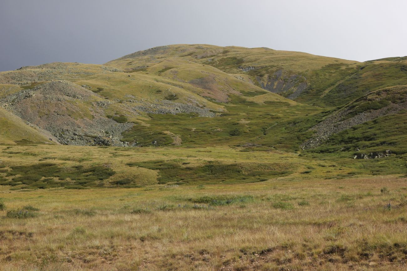 Окрестности истока реки Усай, image of landscape/habitat.