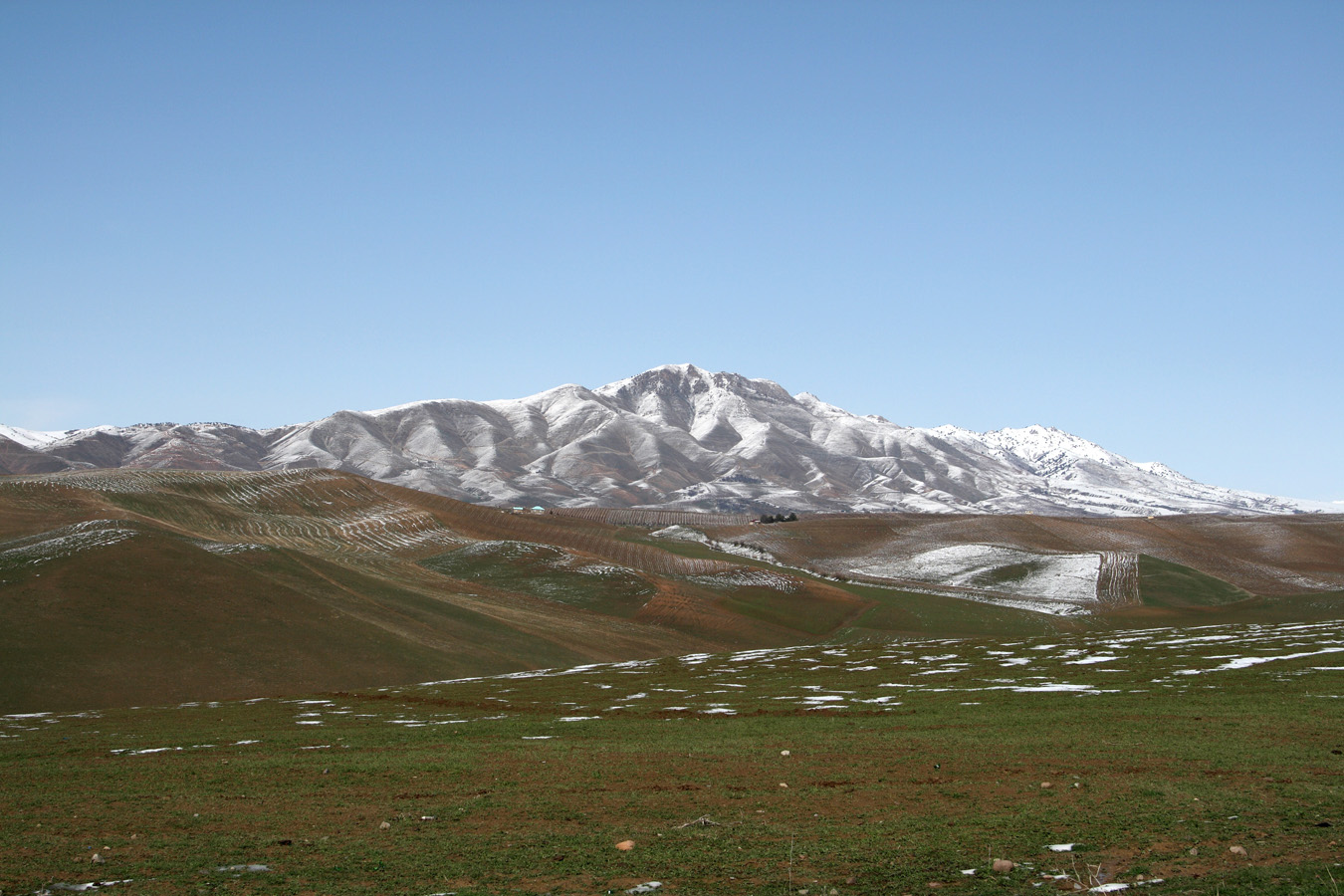 Предгорья Чаткальского хребта, image of landscape/habitat.