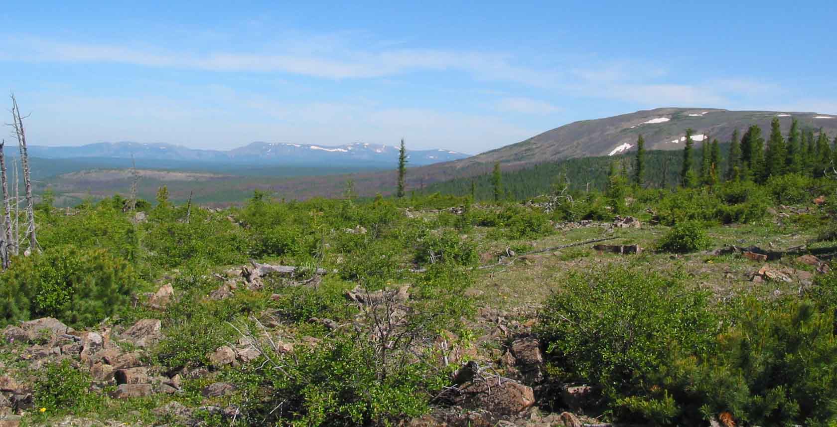 Сохондо, image of landscape/habitat.