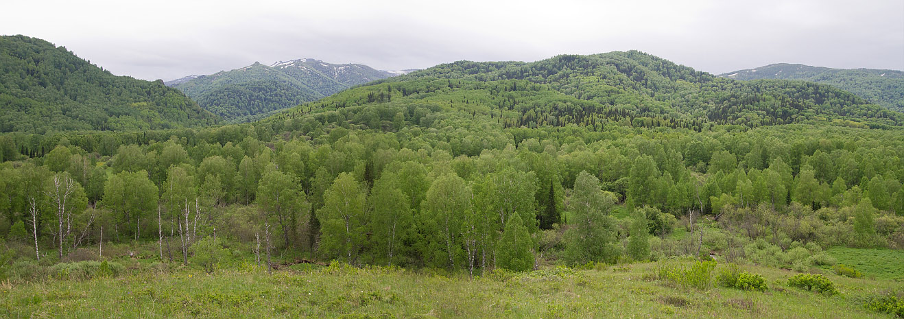 Тигирек, image of landscape/habitat.