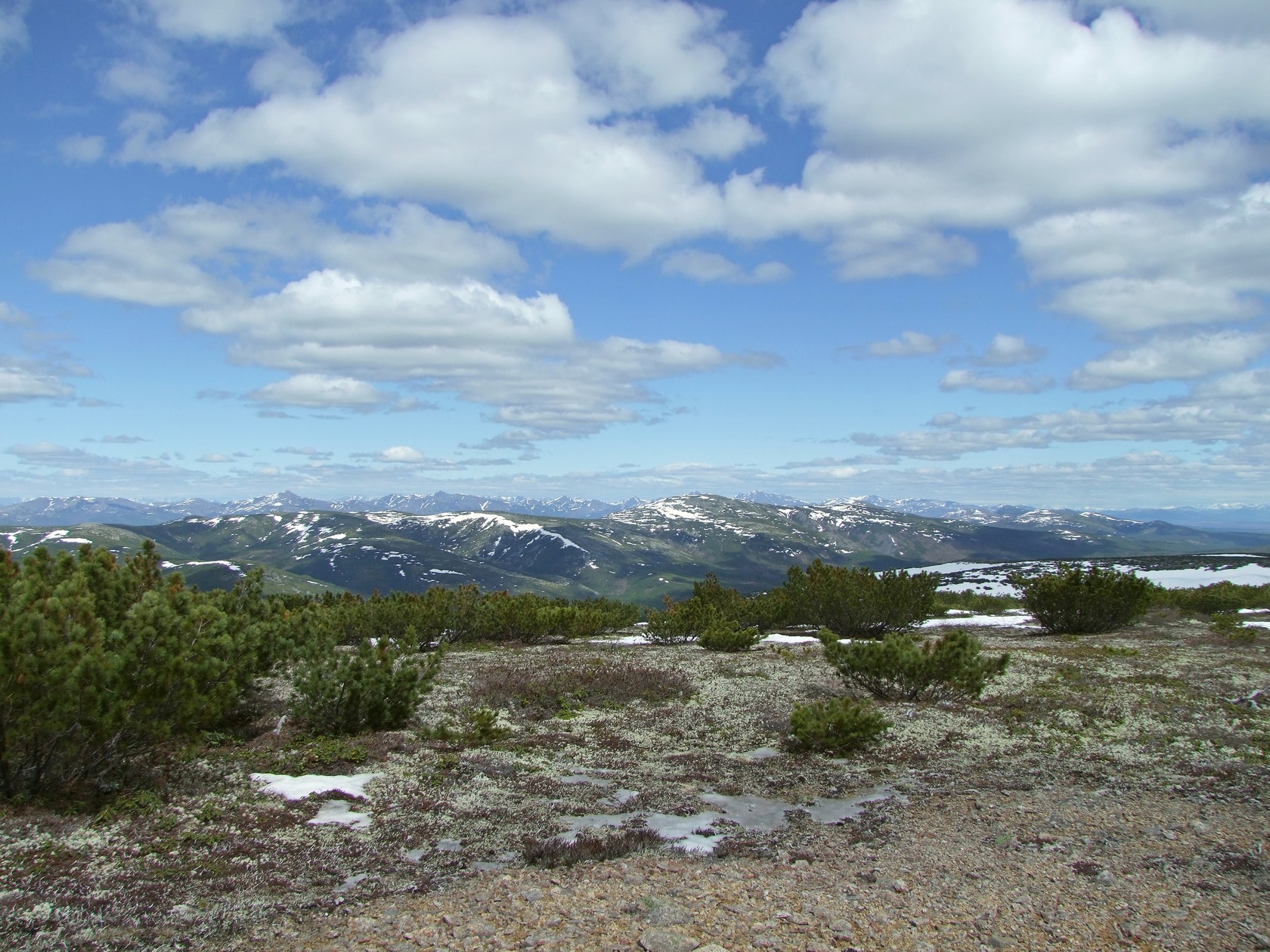 Водораздел Дукчи и Омчика, image of landscape/habitat.