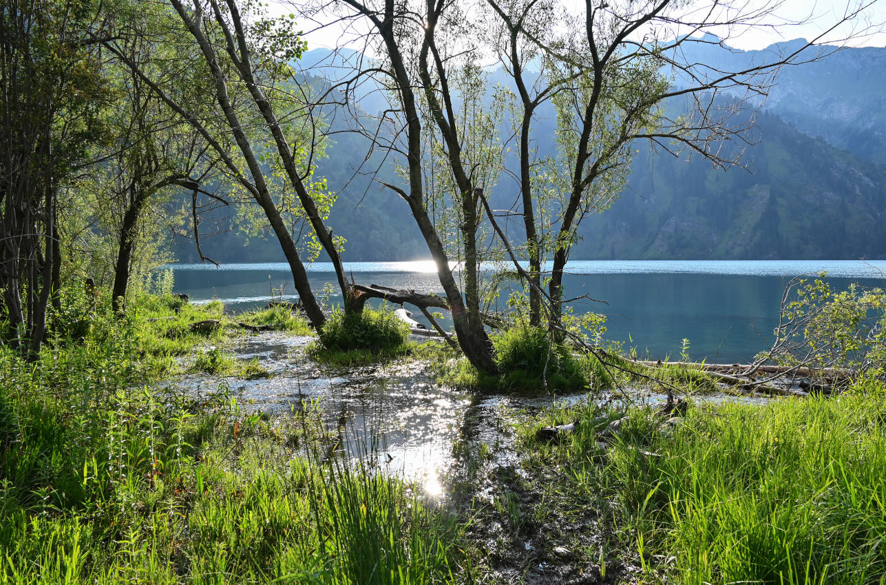 Озеро Сары-Челек, image of landscape/habitat.