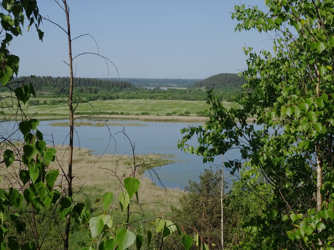 Сортавала, image of landscape/habitat.