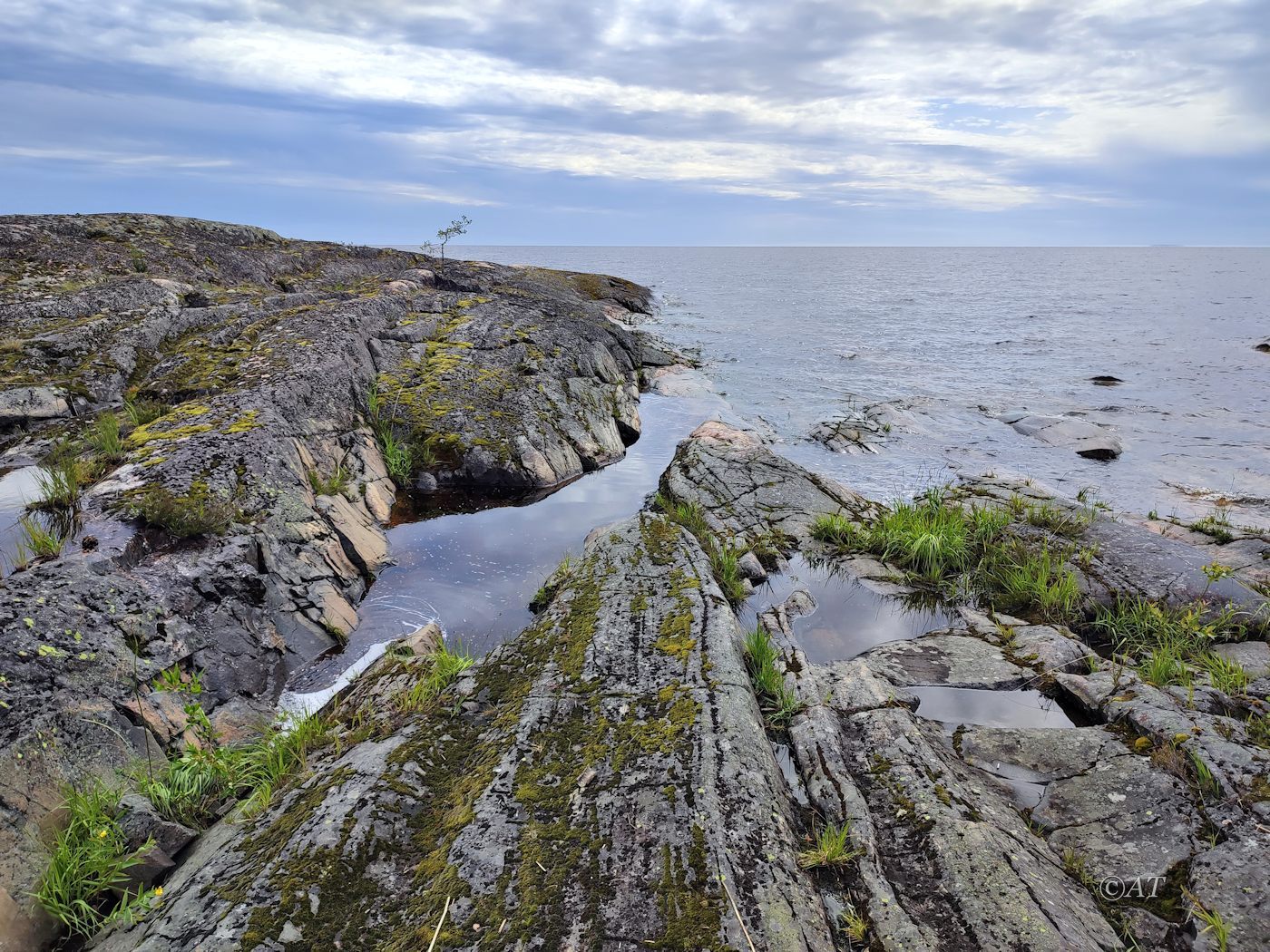 Остров Сюскюянсаари, image of landscape/habitat.