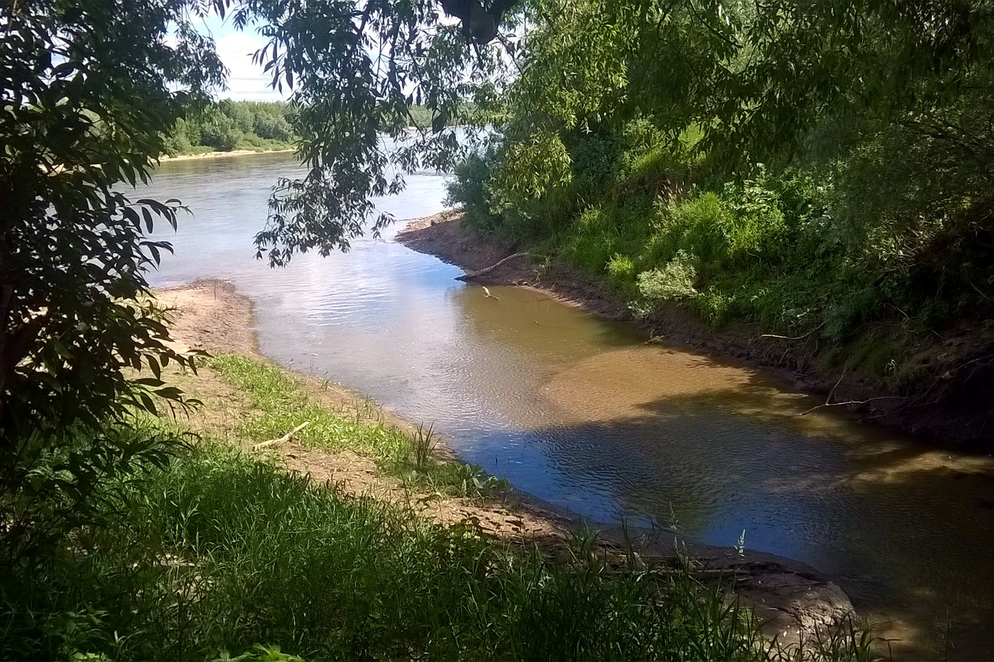 Берег р. Ока у г. Серпухов, image of landscape/habitat.