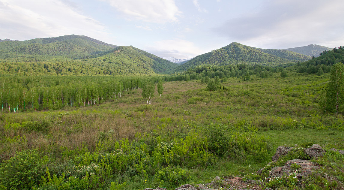 Тигирек, image of landscape/habitat.