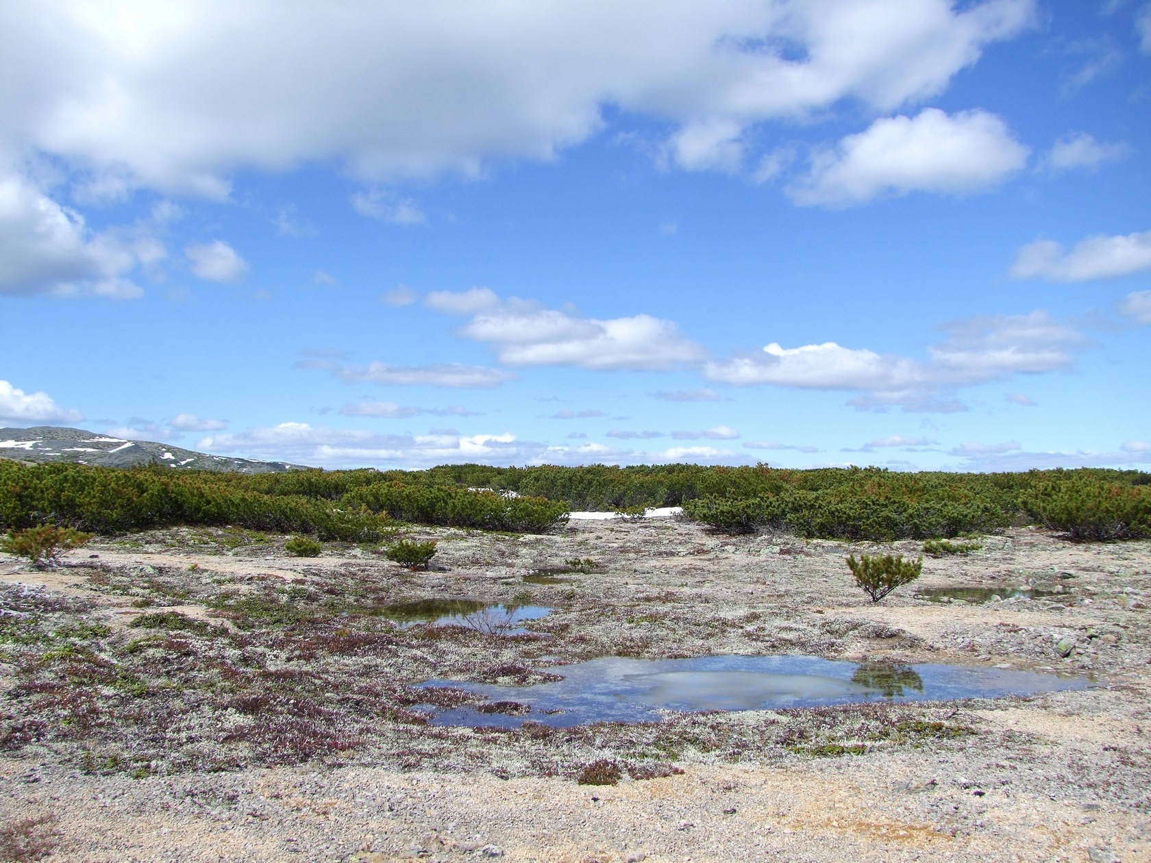 Водораздел Дукчи и Омчика, image of landscape/habitat.