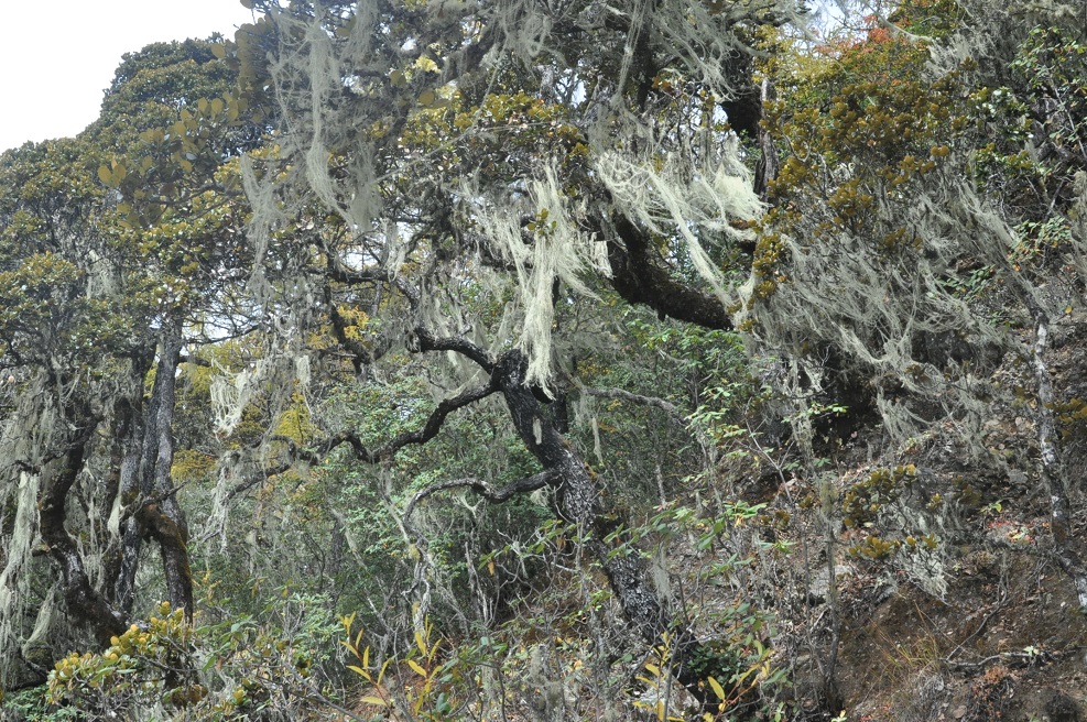 Озеро Бита Хай, image of landscape/habitat.