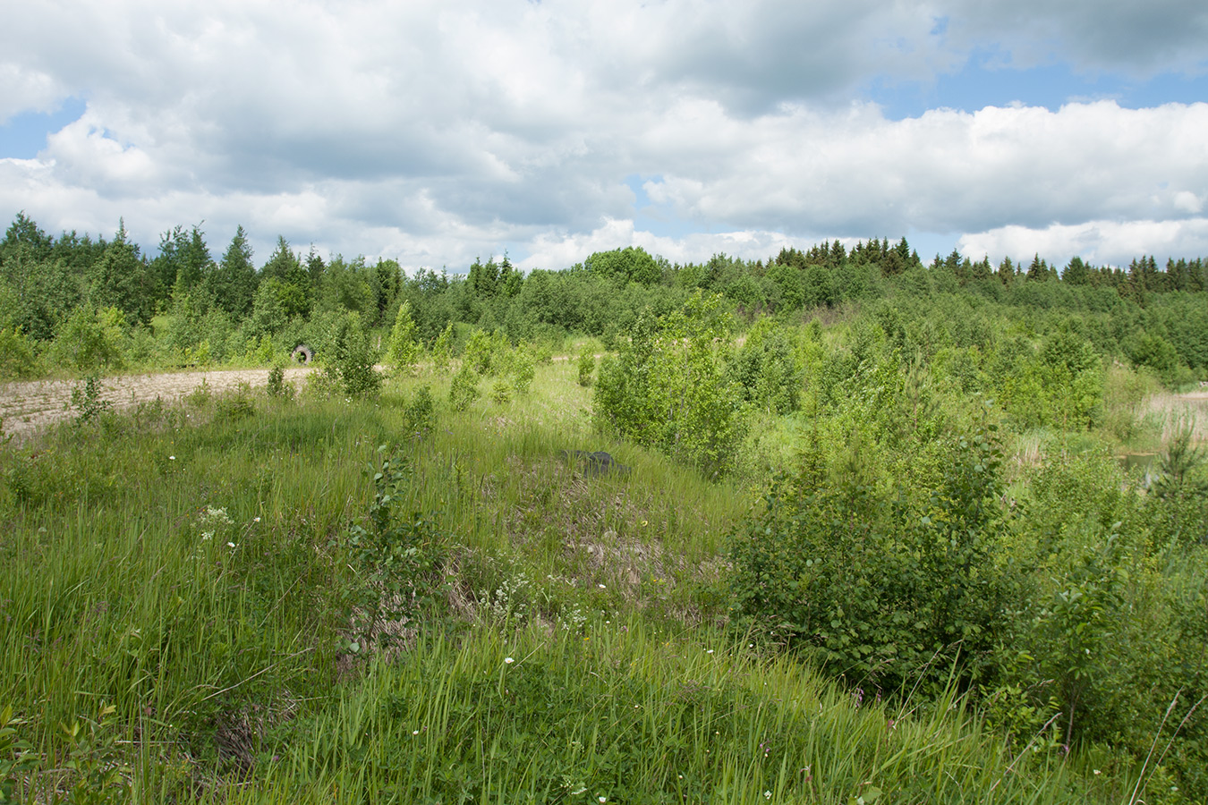 Елизаветинский карьер, image of landscape/habitat.