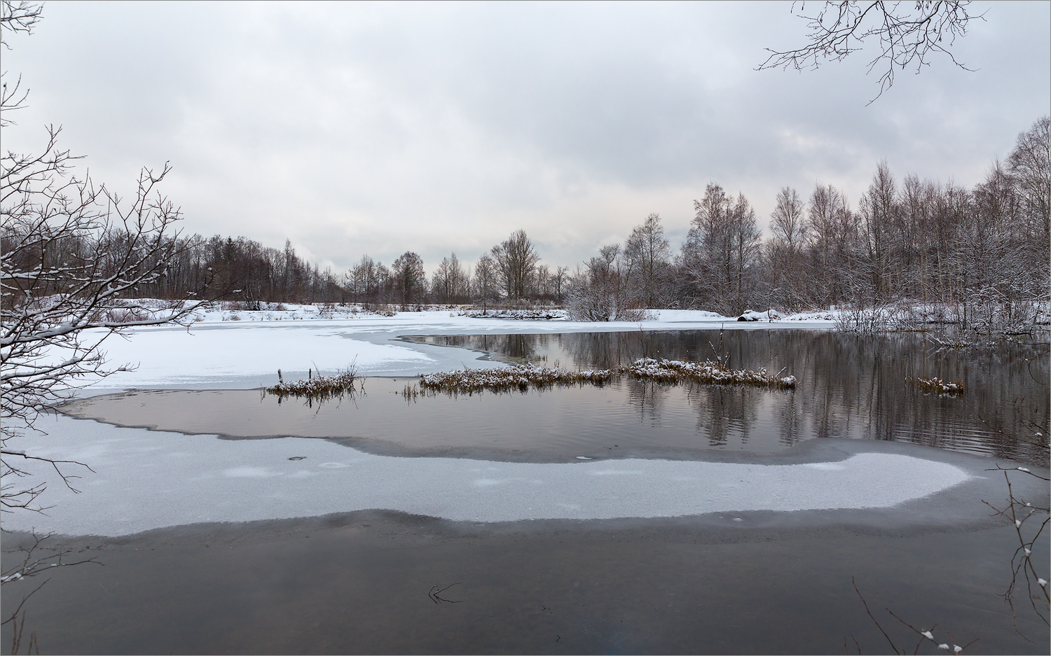 Истоки Шингарки, image of landscape/habitat.